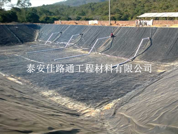 水產(chǎn)養(yǎng)殖防滲膜鋪設(shè)施工技巧：精準(zhǔn)高效，守護(hù)養(yǎng)殖綠洲